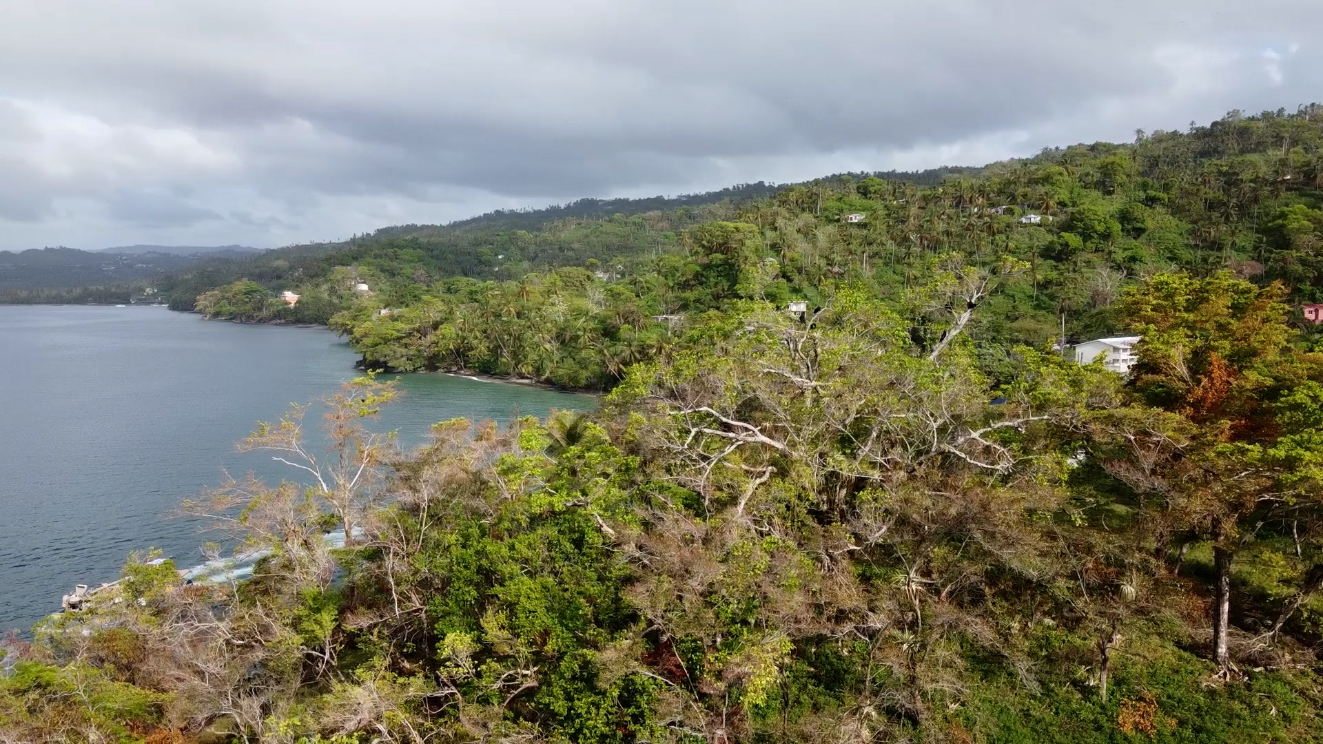 BEACH FRONT LAND SAMANA