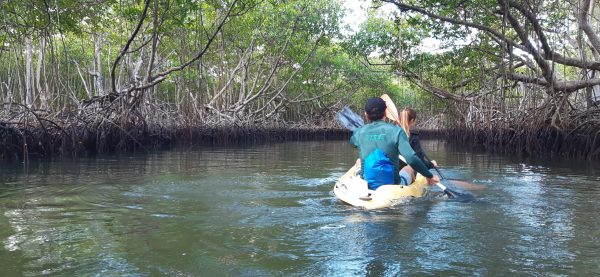 Los Haitises Excursion Kayak Tour in Kayaks los haitises cano hondo 1 scaled 1