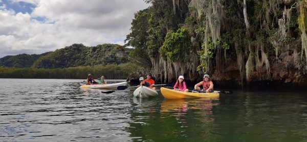 Los Haitises Excursion Kayak Tour in Kayaks los haitises cano hondo 10 scaled 1