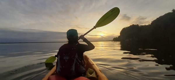 Los Haitises Excursion Kayak Tour in Kayaks los haitises cano hondo 11 scaled 1