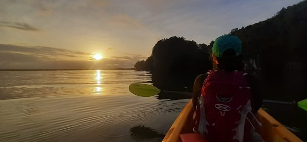 Los Haitises Excursion Kayak Tour in Kayaks los haitises cano hondo 15 scaled 1