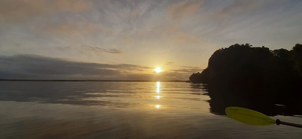 Los Haitises Excursion Kayak Tour in Kayaks los haitises cano hondo 17 scaled 1