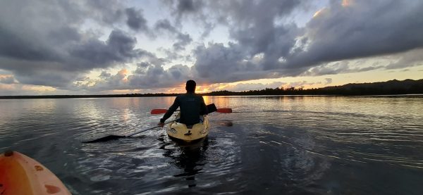 Los Haitises Excursion Kayak Tour in Kayaks los haitises cano hondo 24 scaled 1