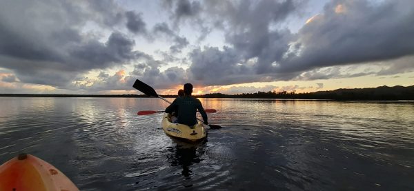 Los Haitises Excursion Kayak Tour in Kayaks los haitises cano hondo 26 scaled 1