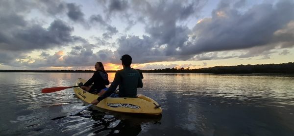 Los Haitises Excursion Kayak Tour in Kayaks los haitises cano hondo 27 scaled 1