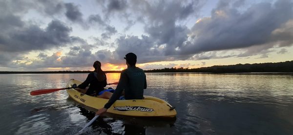 Los Haitises Excursion Kayak Tour in Kayaks los haitises cano hondo 28 scaled 1