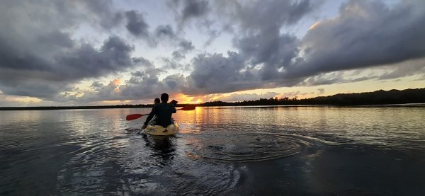 Los Haitises Excursion Kayak Tour in Kayaks los haitises cano hondo 29 scaled 1