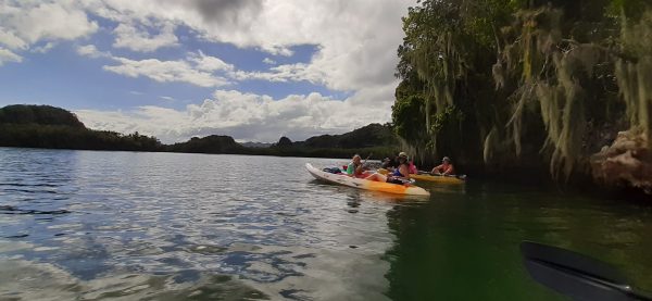 Los Haitises Excursion Kayak Tour in Kayaks los haitises cano hondo 3 scaled 1