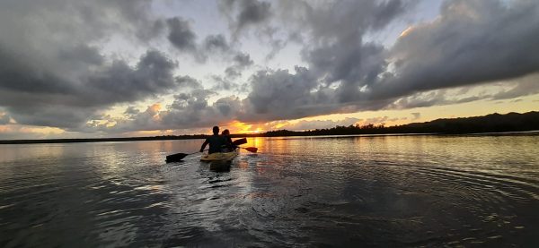 Los Haitises Excursion Kayak Tour in Kayaks los haitises cano hondo 30 scaled 1