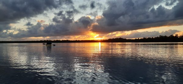 Los Haitises Excursion Kayak Tour in Kayaks los haitises cano hondo 33 scaled 1