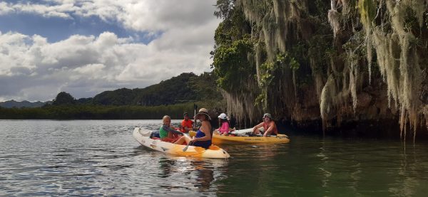 Los Haitises Excursion Kayak Tour in Kayaks los haitises cano hondo 4 scaled 1