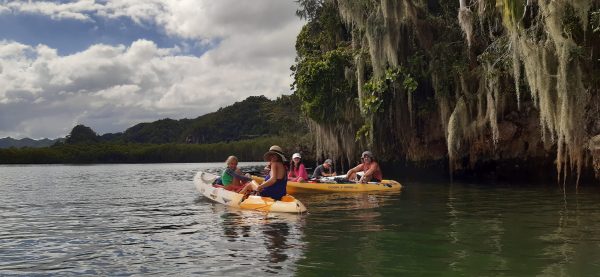 Los Haitises Excursion Kayak Tour in Kayaks los haitises cano hondo 5 scaled 1