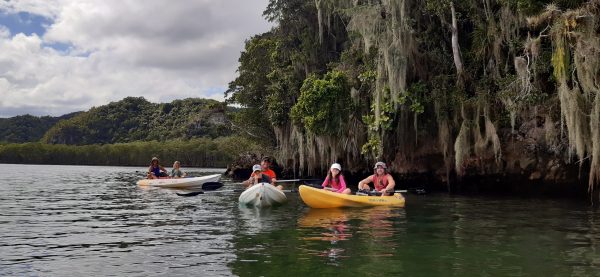 Los Haitises Excursion Kayak Tour in Kayaks los haitises cano hondo 9 scaled 1