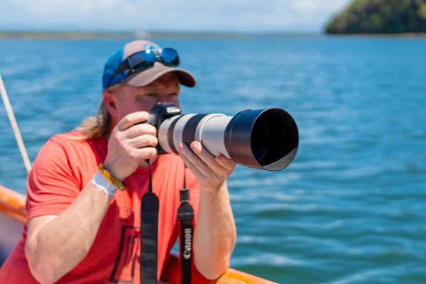 Mangrove birding