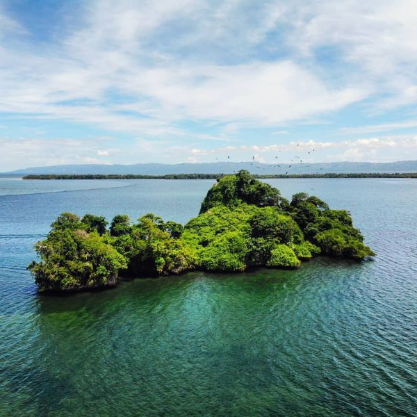 The Haitises National Park birds island tours