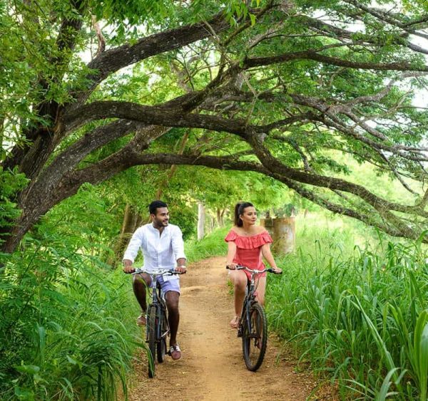 bicycletour los haitises tours