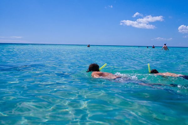 catalina island la romana snorkeling