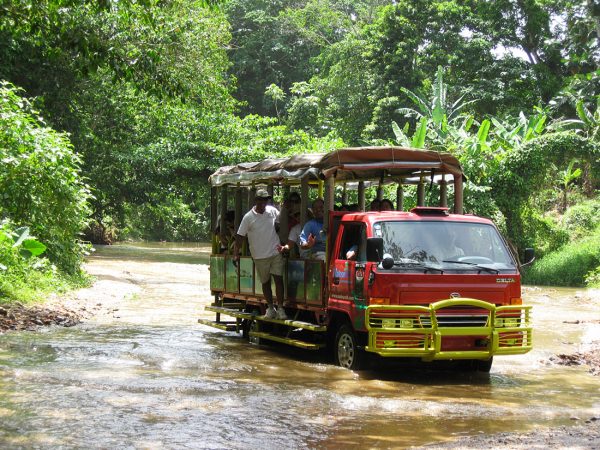 safari samana